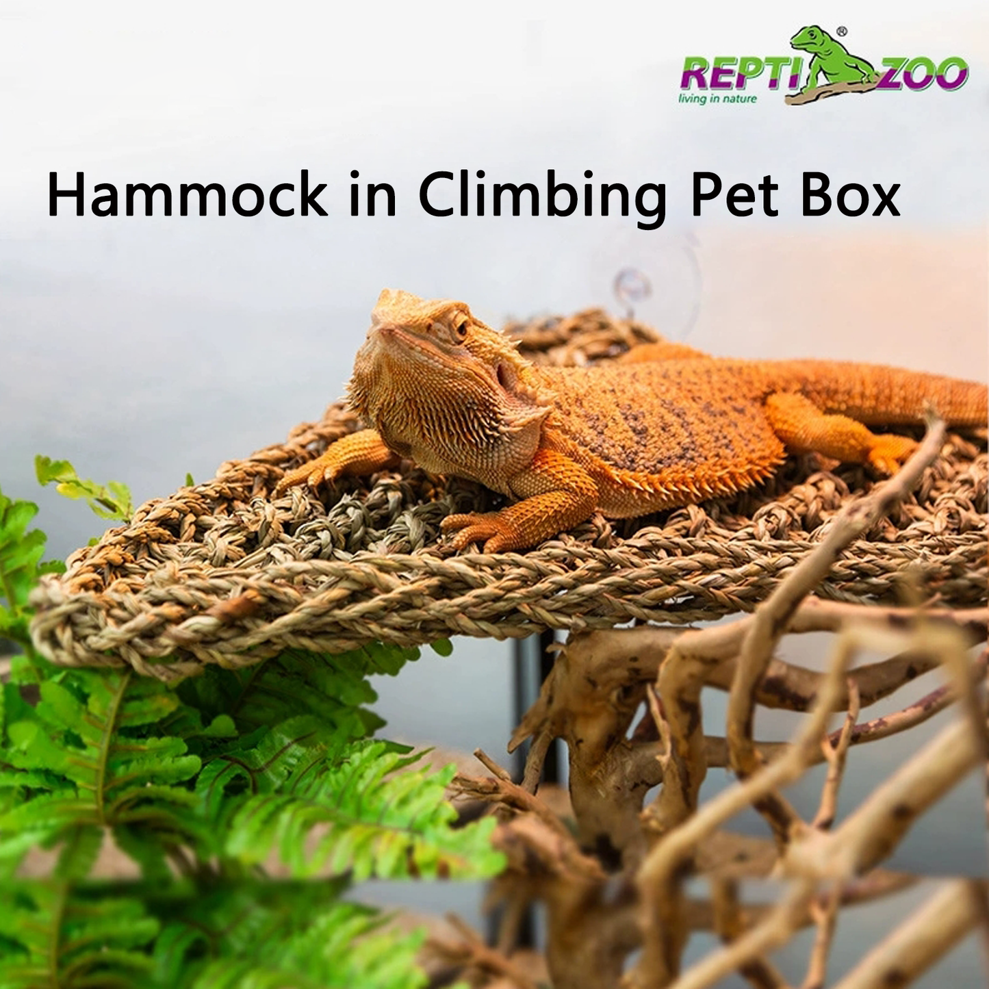 New school pet reptile hammock hiding house feeding box natural landscape